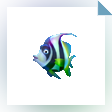Sea Life Safari