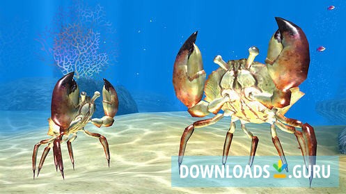 Sea Life Safari