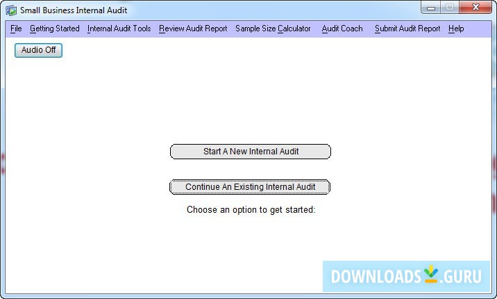 Small Business Internal Audit