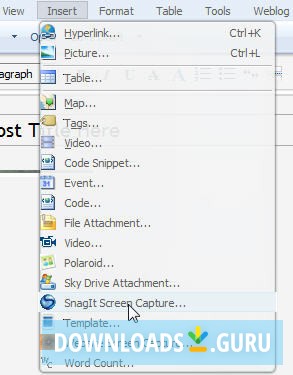 Accessing SnagIt Screen Capture Plugin from Insert Menu