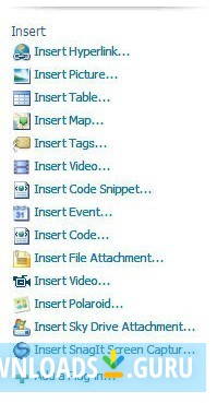 SnagIt Screen Capture Plugin for Windows Live Writer