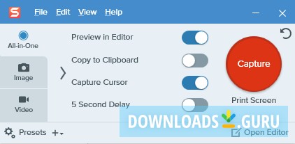 snagit free version does not have editing features