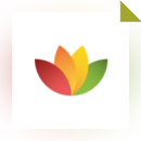 SoftMaker FreeOffice