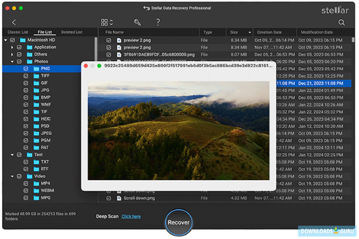 Stellar Data Recovery Professional