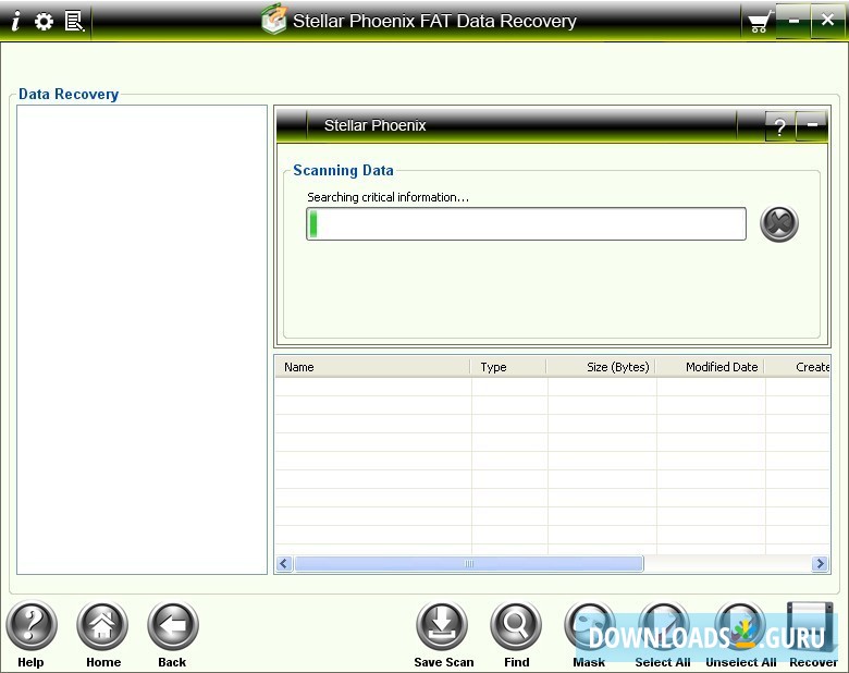 Stellar Phoenix FAT Data Recovery