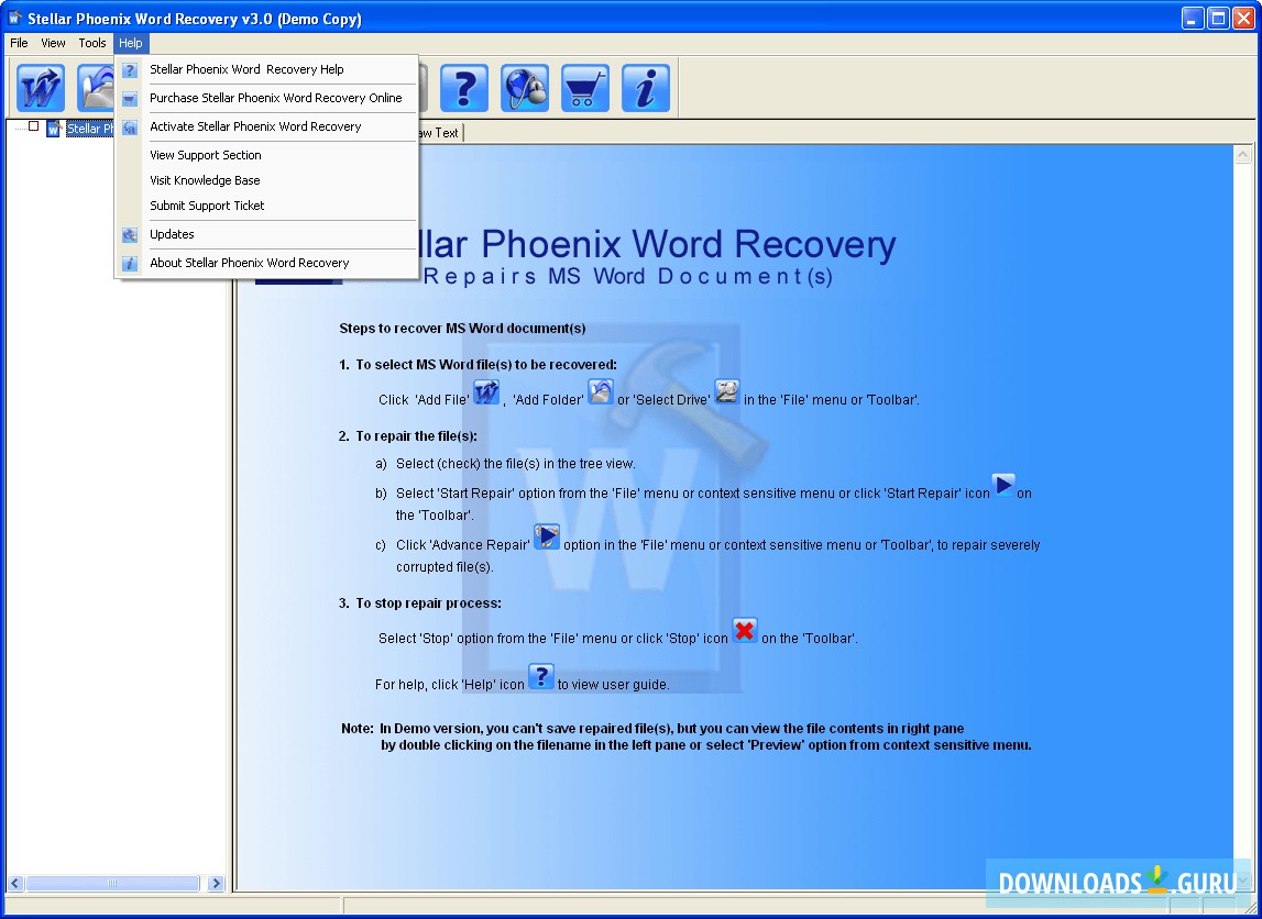 Stellar Phoenix Word Recovery