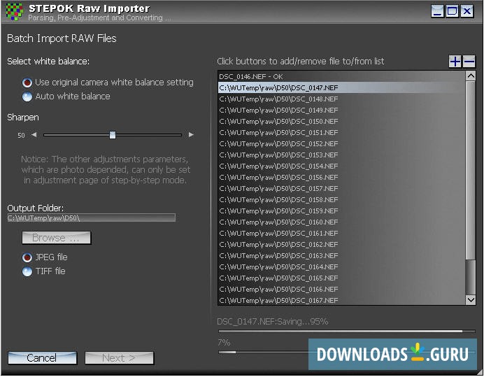 Stepok's RAW Importer