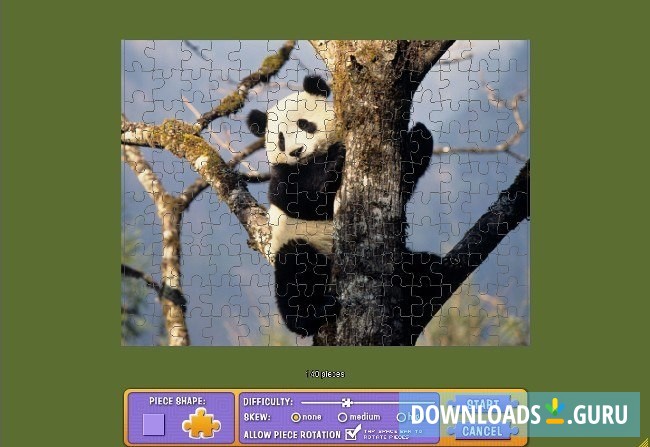 Panda puzzle of 140 pieces