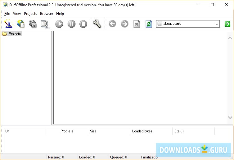 SurfOffline Professional