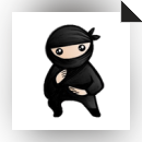 System Ninja