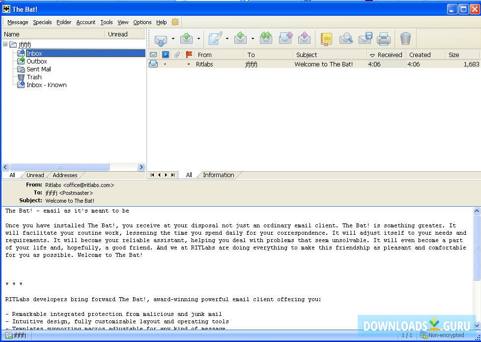 The Bat! International Pack