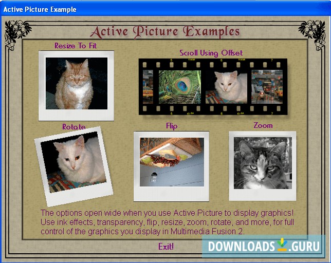 Active Pictures Examples