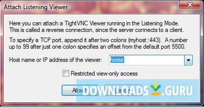 download tightvnc server windows