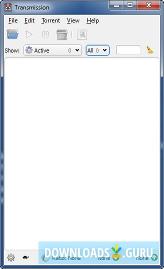Main window