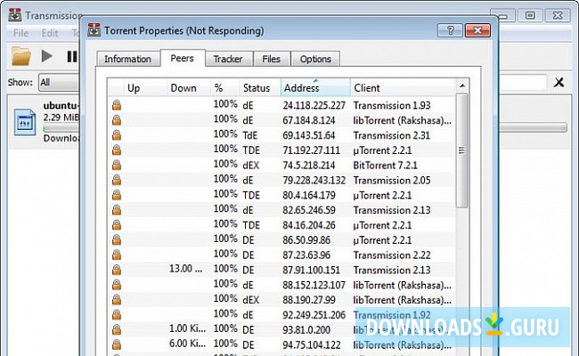 transmission torrent download windows
