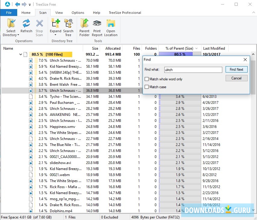 download the new version for windows TreeSize Professional 9.0.2.1843
