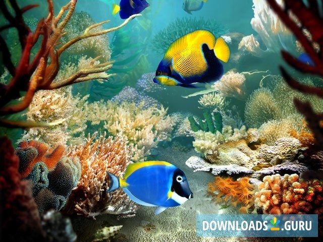 Tropical Fish 3D Screensaver