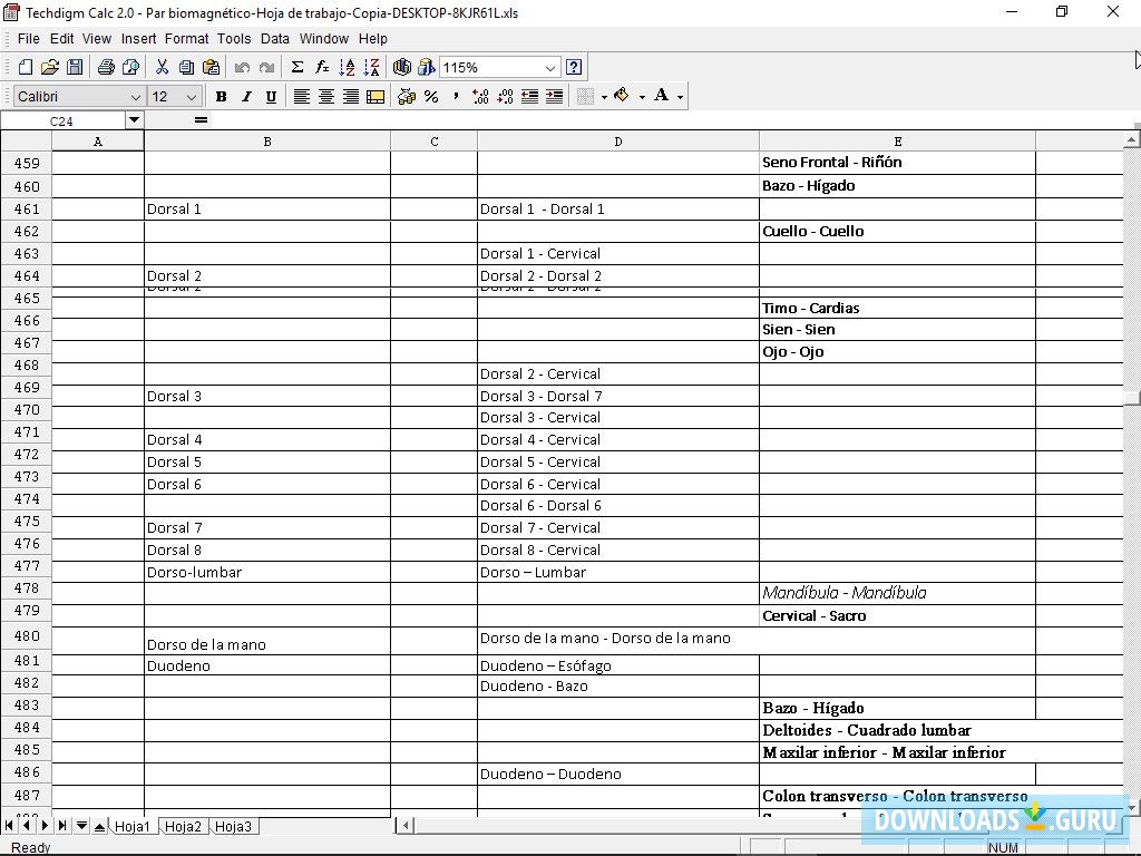 Opening a MS 2003 document