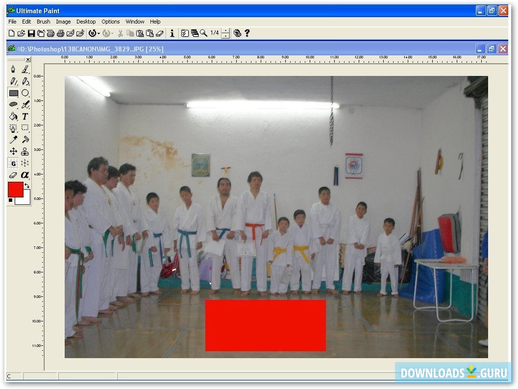 Ultimate Paint-Applying a form