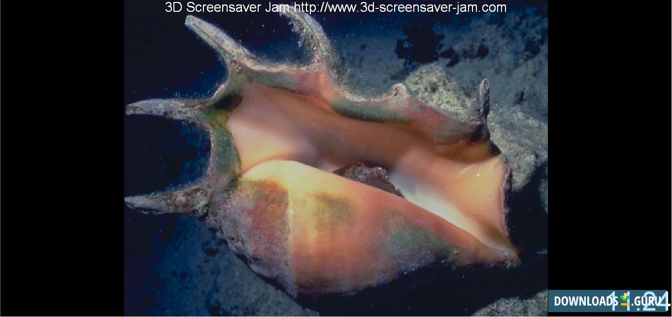 Underwater World Screensaver