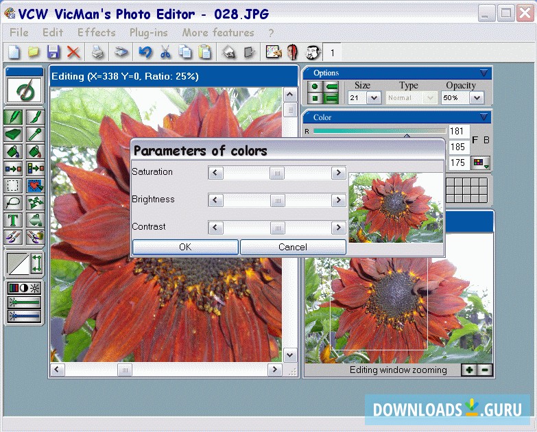 VCW VicMan's Photo Editor