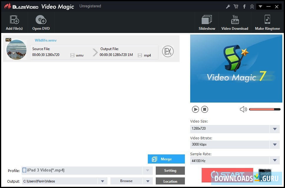 Video Magic Professional