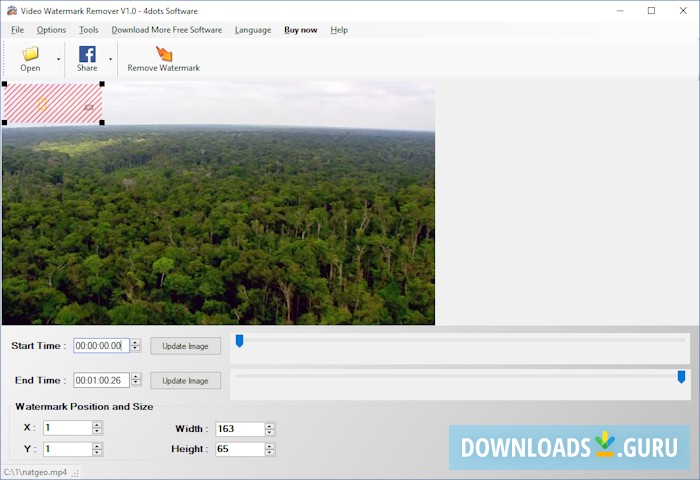 Video Watermark Remover