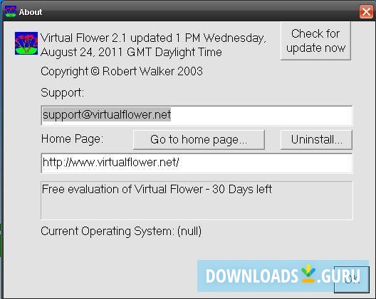Virtual Flower