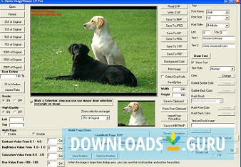 Viscomsoft Image Viewer CP Pro SDK