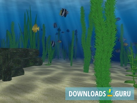 The Underwater World