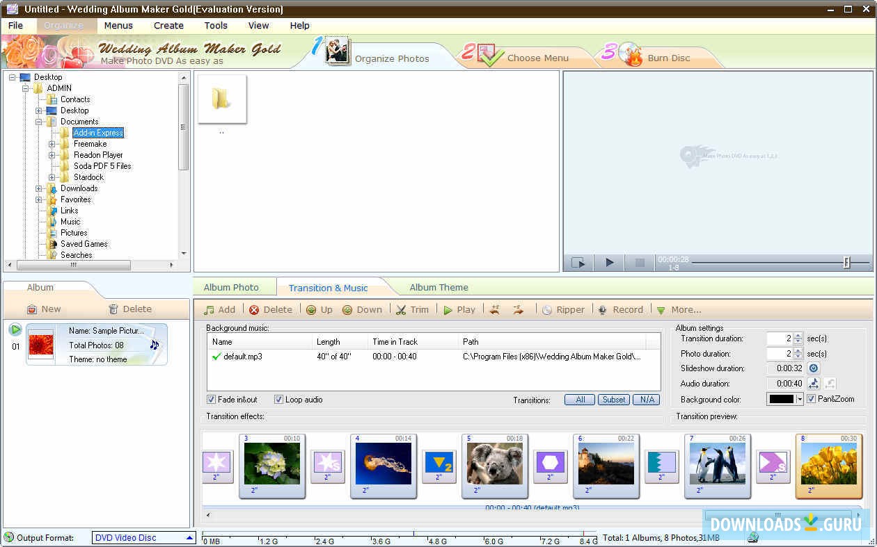 Transition & Music Options