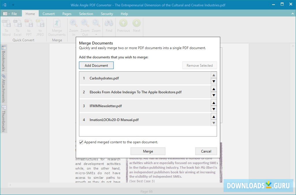 Wide Angle PDF Converter