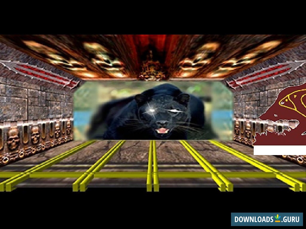 Wild boar gallery ScreenSaver © StrikePill.com