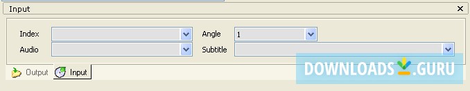 Input Tab