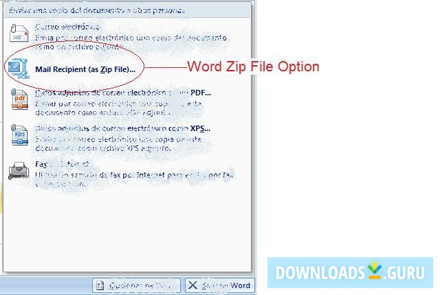 Word Zip File Option