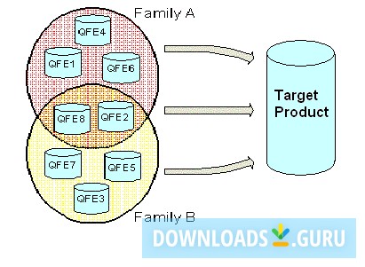 Grouping related patches into patch families