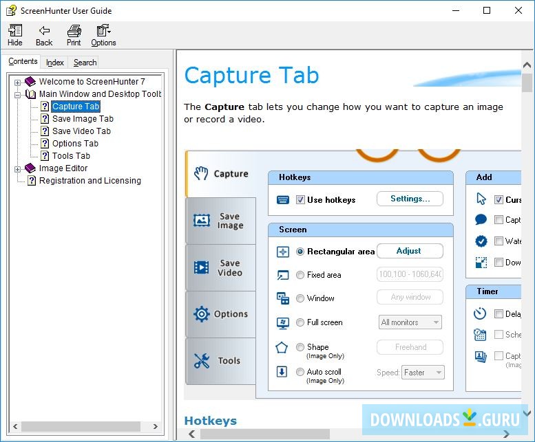Wisdom-soft ScreenHunter Free