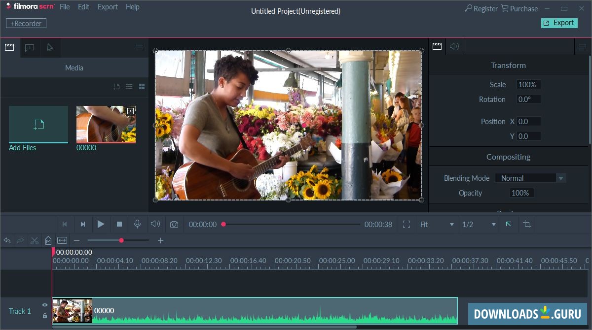 Wondershare Filmora Scrn