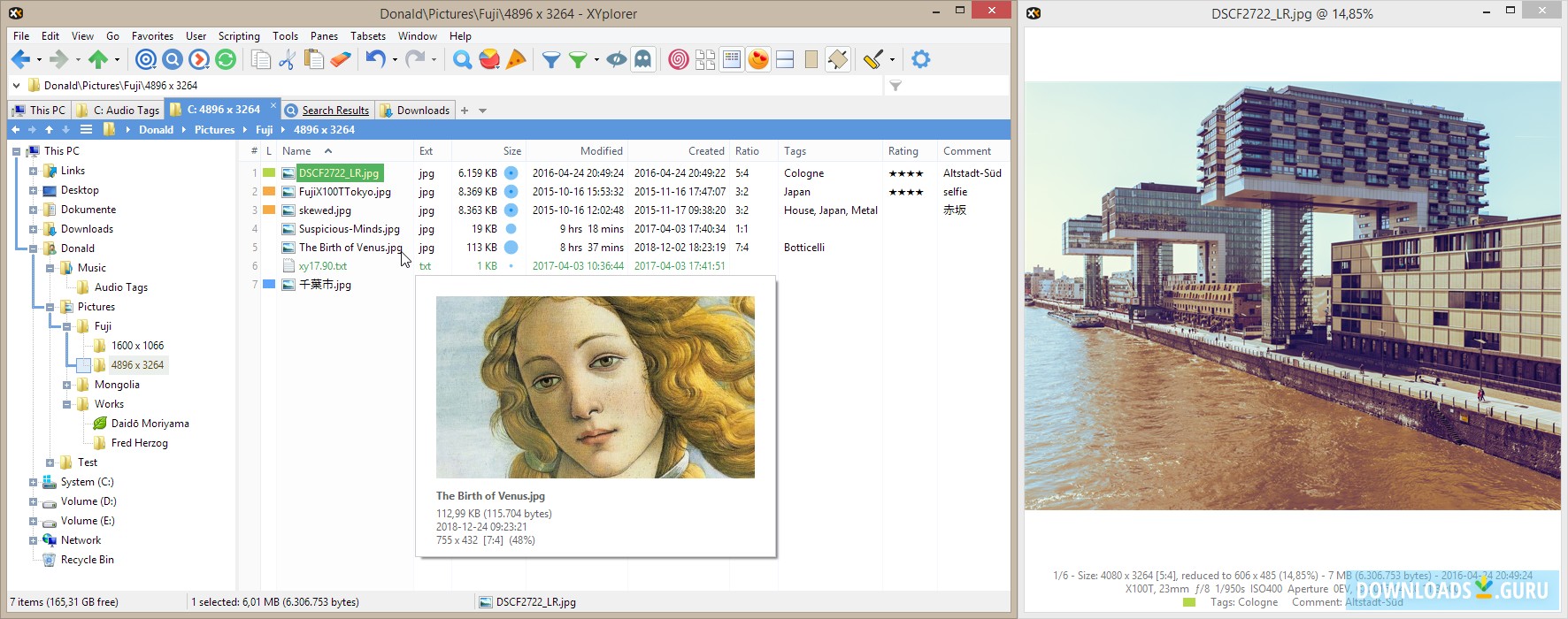 download the new version for windows XYplorer 24.50.0100