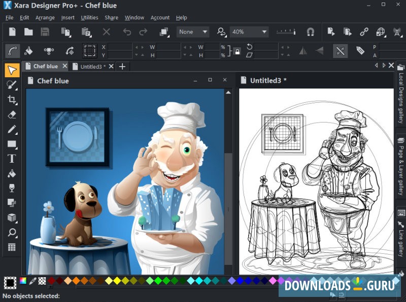 Designer Pro is a popular choice for vector illustration