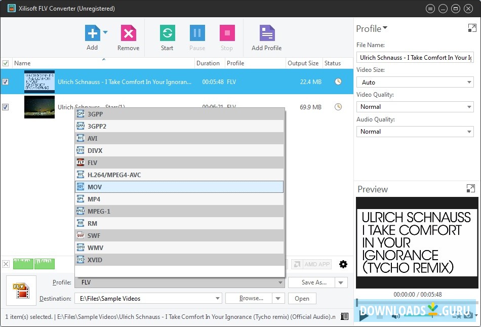 Output Format Selection