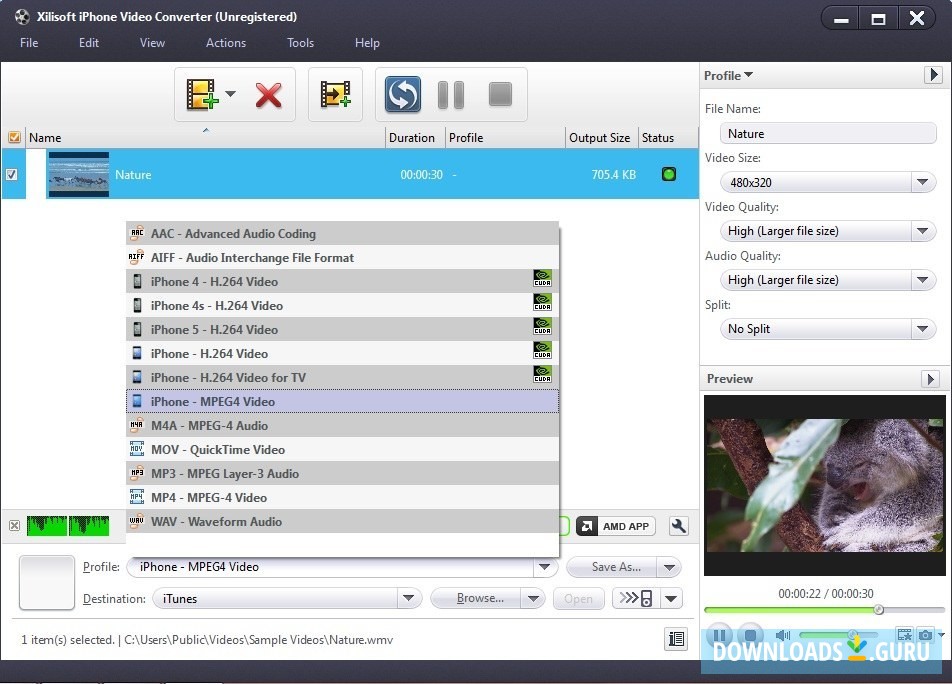 Output Format Selection