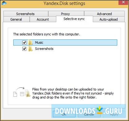 Settings Window - Selective Sync Tab