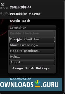 ZSwitcher
