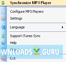 iTunes Sync