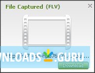 New Online Video Detection