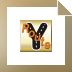 Download yRoute